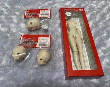 인형 바디 헤드