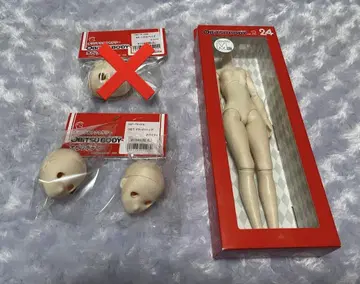 인형 바디 헤드