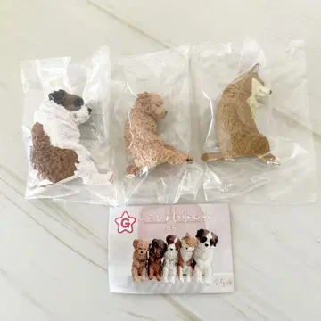 함께 자자 =강아지= 3개 세트