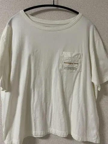Patagonia 반팔 티셔츠 화이트