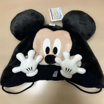 디즈니 팬 캡