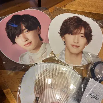 SHUNSUKE MICHIEDA 부채 세트