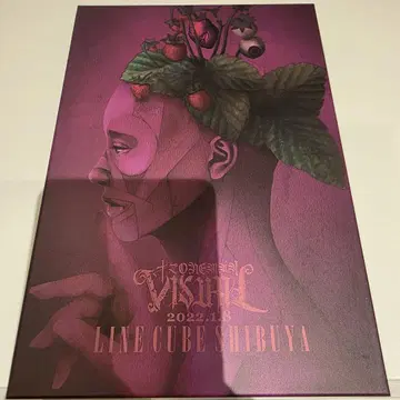 원맨 VISUAL DVD 초회 한정판