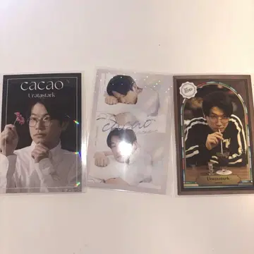 요시모토 콜레카 우라타 스타크 세트
