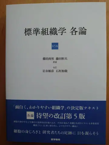 표시 사이즈 각론 제5판