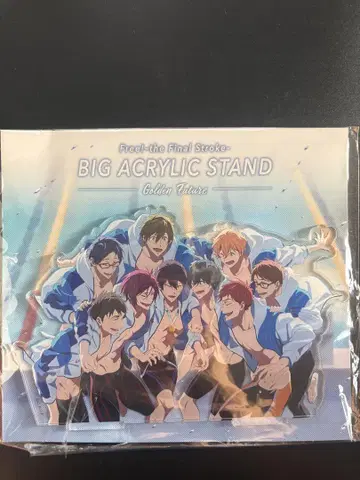 Free! FS 빅 아크릴 스탠드, 브로마이드 랜덤