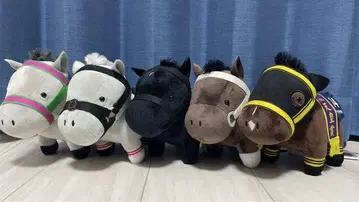 서러브레드 컬렉션 묶음 판매