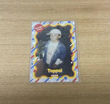 요시모토 콜레카 cacao 탓페이