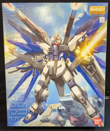 반다이 MG 1/100 기동전사 건담 SEED 프리덤 건담