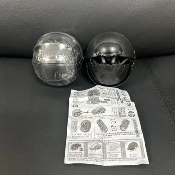 새까만 공벌레 2개 세트