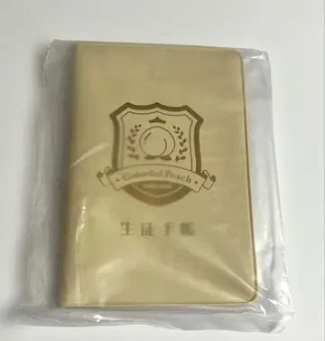 라스트 1개 카라피치 파라다이스 2025 학생 수첩풍 메모장 컬러풀 피치