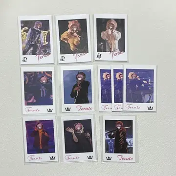 KnightA 기사 A 랜덤 포토 카드 테루토군 KnightX 기사 X