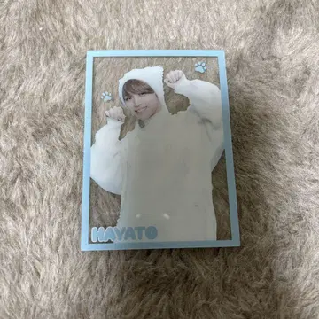 타카오 하야토 키라리 고양이의 날
