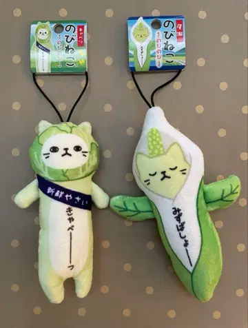 지역 노비네코 군마 산지 직송 & 오제