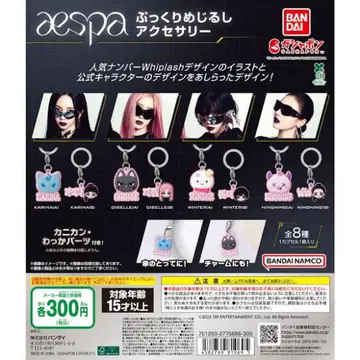 aespa 메지루시 액세서리 컴플리트