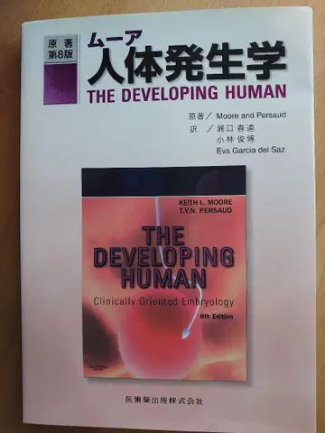 무어 인체 발생학 제8판