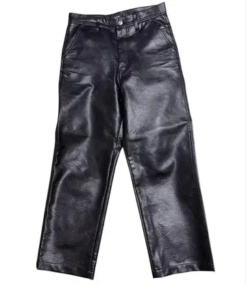 HUF(하프) PLANTLIFE PAINTER PANT 인조 가죽 팬츠