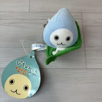 피쵸쿤 잎사귀 마스코트 키링 다이킨