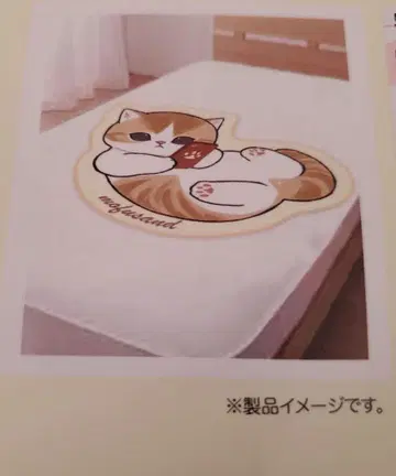 모프 샌드 냉감 케트