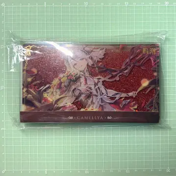 메이쵸 츠바키 류사 아크릴 블록 코로타 공식 정품
