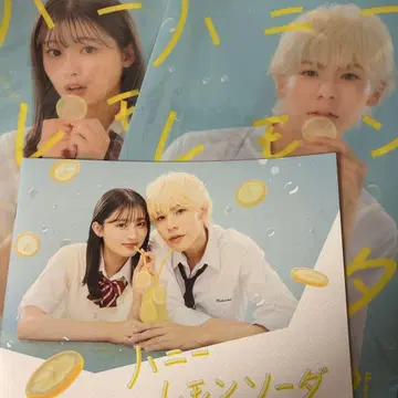 허니 레모 소다 클리어 파일 팜플렛