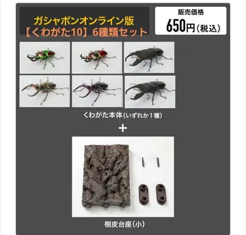 생물대도감 사슴벌레10 6종 세트