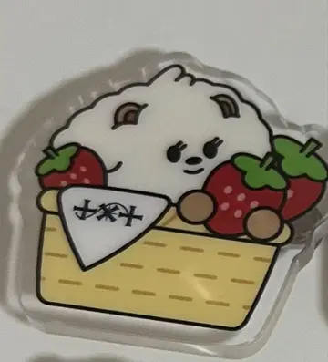 TXT 뿔바투 아크릴 배지 후쿠오카 딸기 밤구 보무규