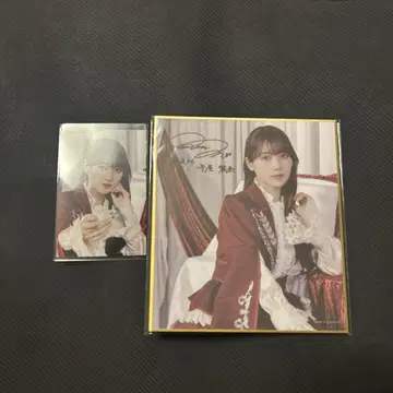 사쿠라자카46 사쿠코레 C상 사인 포함 미니 색지 모리야 레이나