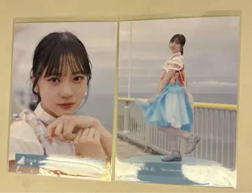 히나타자카46 쇼겐지 요코 브로마이드 해풍과 제멋대로