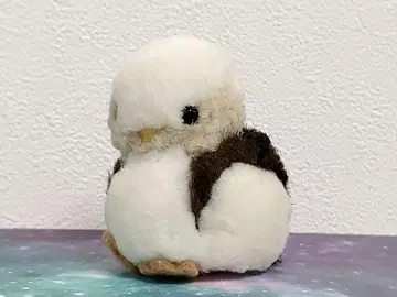세키구치 카모 봉제 인형