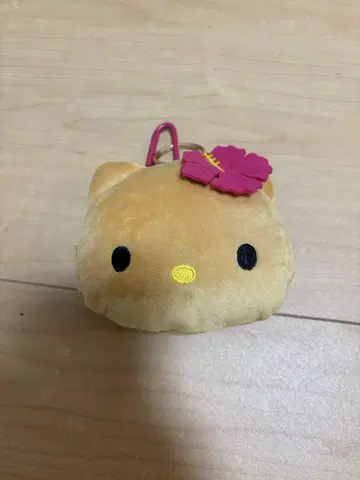 Sweet 8월호 키티