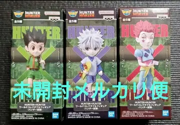 HUNTER x HUNTER 월드 컬렉터블 피규어 헌터 시험