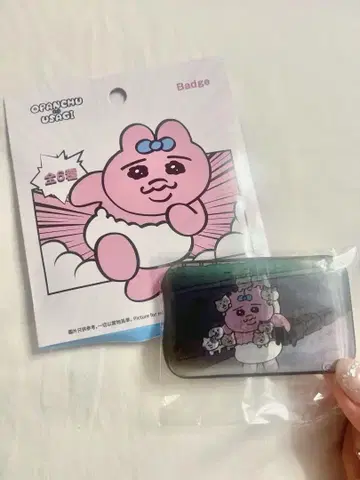 홍콩 한정판 빤쮸토끼 2D 배지