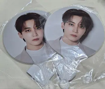 SEVENTEEN 정한 INCOMPLETE 부채