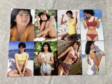 나카야마 시노부 쇼와 아이돌 L판 사진 50장 특가 판매