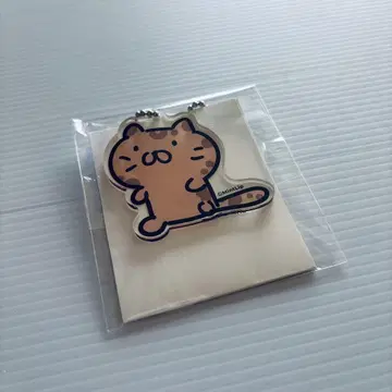 DIG-ROCK 루비레 아크릴 키링 animal 시크릿