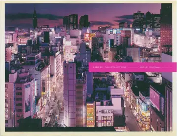 사토 신타로 비상계단 도쿄 TOKYO TWILIGHT ZONE