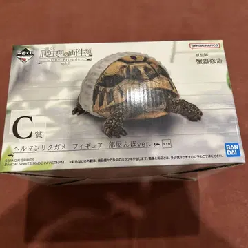 1번 복권 파충류&양서류 C상 헤르만 육지거북 피규어 방 안 ver.