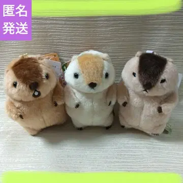 마모트의 모토토 LMC