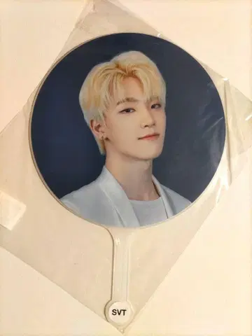 SEVENTEEN DINO ode to you 서울 콘서트 부채