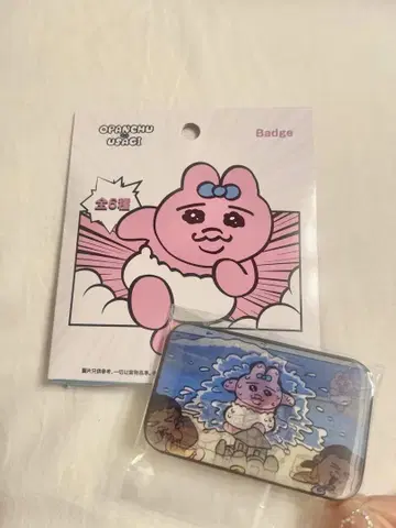 홍콩 한정판 빤쮸토끼 2D 배지