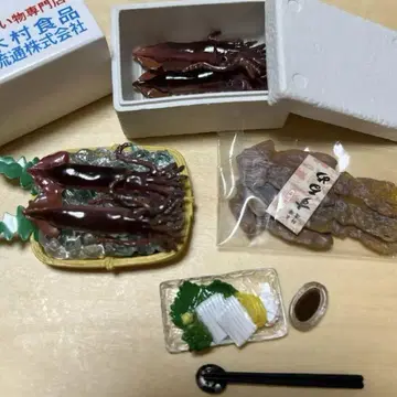 리멘트 홋카이도산 오징어 산지 직송 갓 수확한 팩 쁘띠 샘플 익명 배송