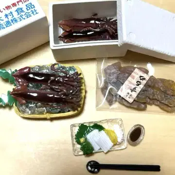 리멘트 홋카이도산 오징어 산지 직송 갓 수확한 팩 쁘띠 샘플 익명 배송