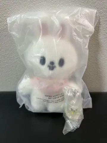 straykids skzoo Lee비트 10cm 리노 메지루시 액세서리