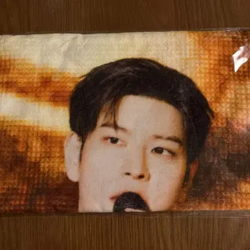 straykids 승민 타월