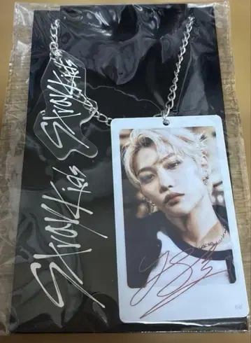 straykids felix 백참