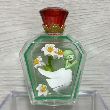 포켓몬 쁘띠 퓌르 3 사나이트