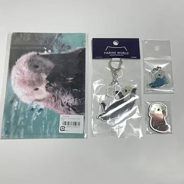 마린 월드 릴로 랏코 키링 마그넷 엽서