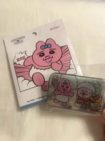 홍콩 한정판 빤쮸토끼 2D 핀 배지