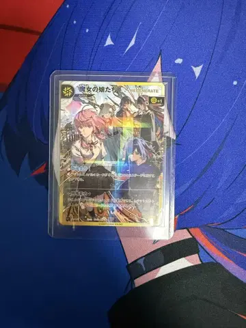 신츄인 tcg